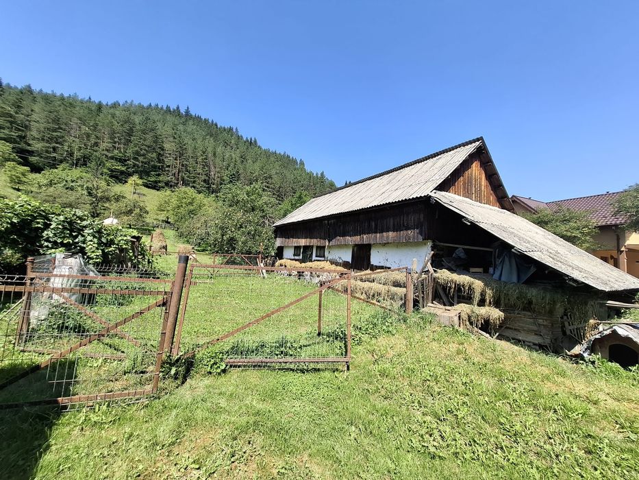 Casa si teren intravilan 5594 mp , utilități, livadă, Grințieș (Neamț)