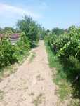 Vând sau schimb casă Viile Satu mare