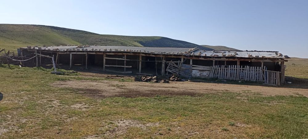 Продается фазенда