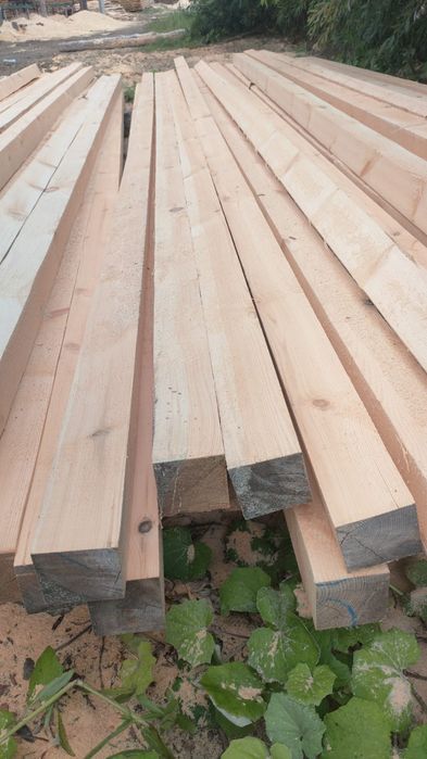 Продам лес Сосна