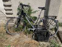 Vand bicicleta Pegasus