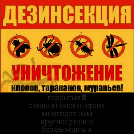 Услуги дезинфекция
