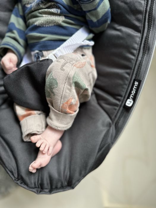 Leagan electric 4moms mamaRoo