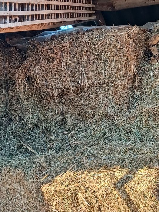 Baloți de lucernă și fân