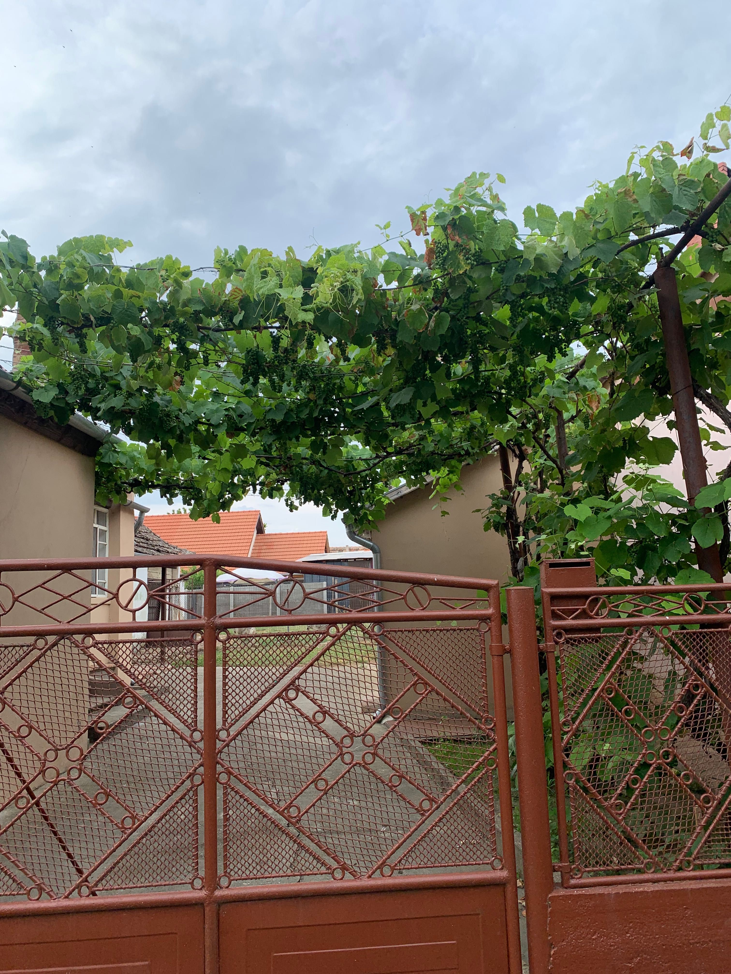 Casa  de vânzare in Lovrin langa Piață