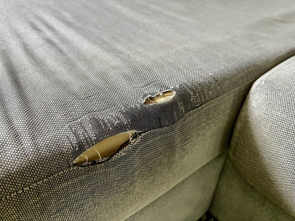 Canapea, structură PAL, bureți de calitate, 351x191 cm