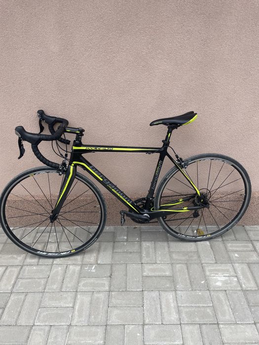 Cursiera bergamont dolce