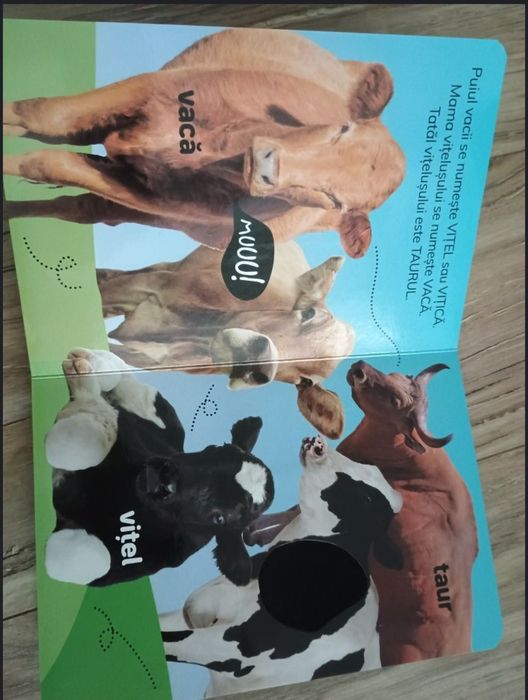 Carte cartonata bebeluși Atinge și Invata