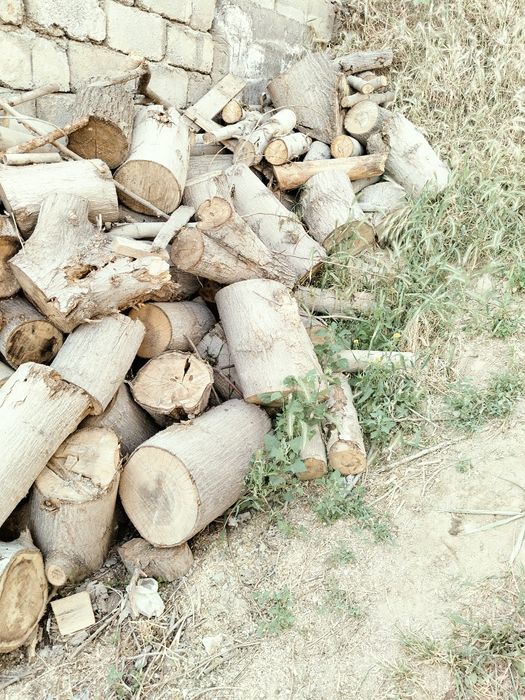 Firewoods o'tin дрова