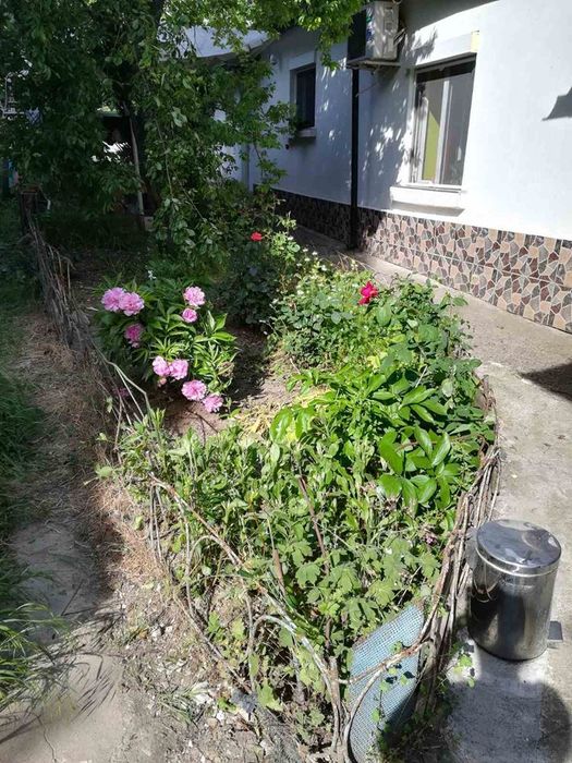 Къща в Плевен, област- площ 50 цена 460