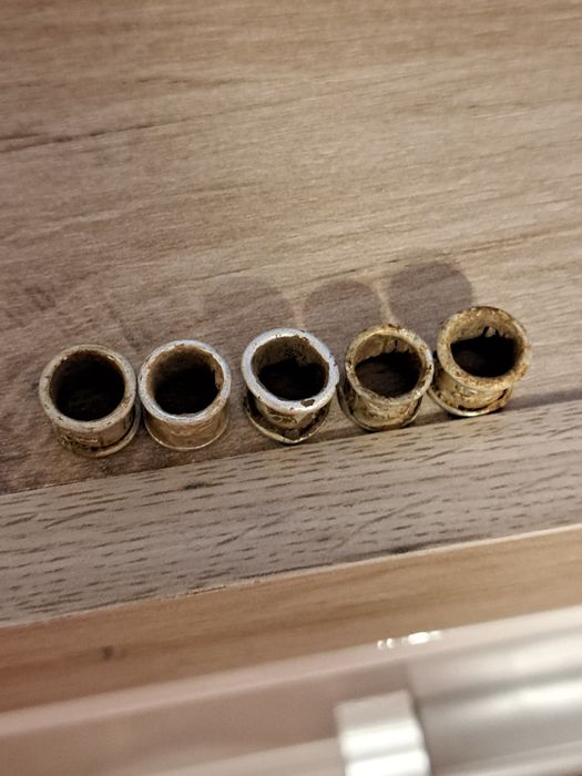 Inele porumbei diverși ani