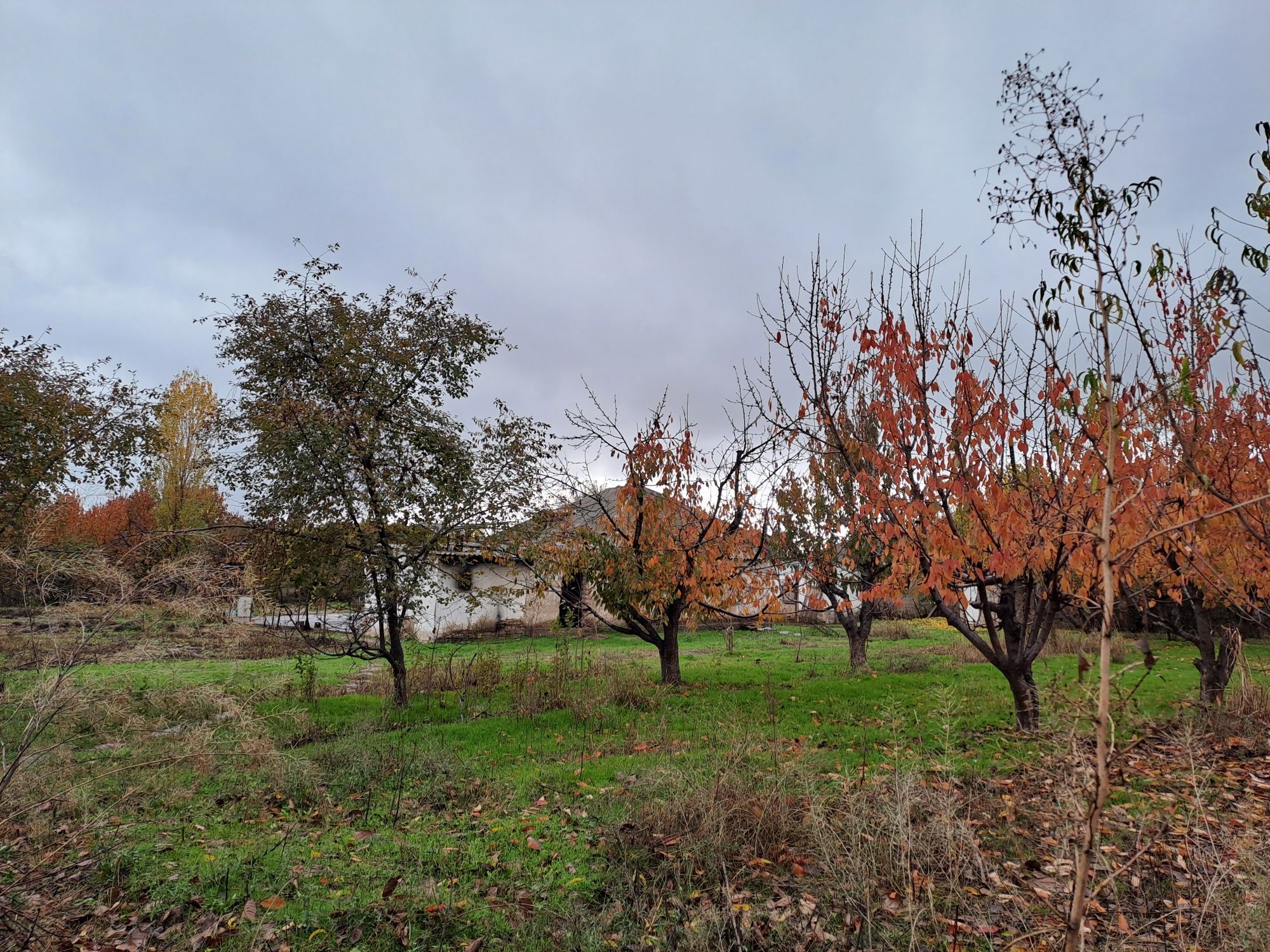 Uchastka sotiladi 12 sotix Tashmoryada