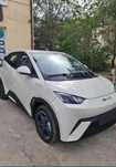 Byd segull srochna sotiladi