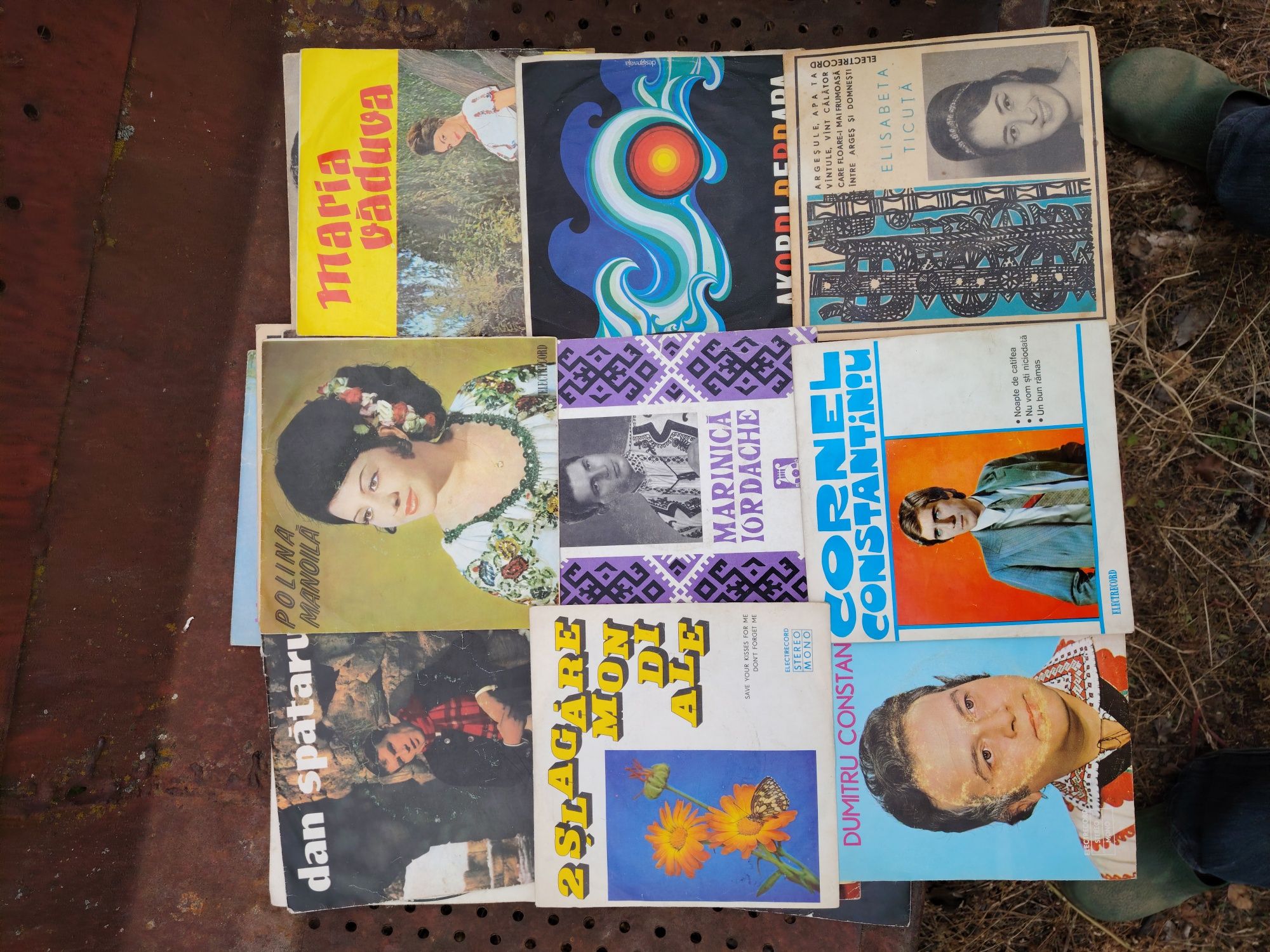 Discuri vinil mari și mici