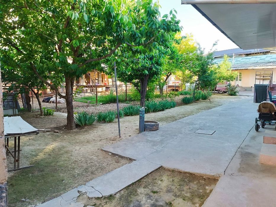 УЙ СОТИЛВОТИ срочний бошка бунака имкон йо