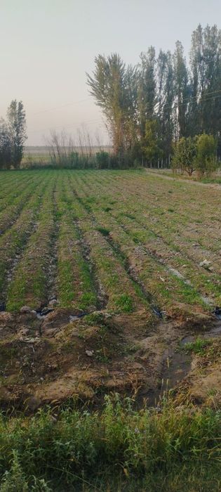 Срочно 4 сотих ер сотилади