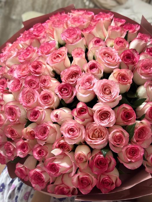 101 розовая роза