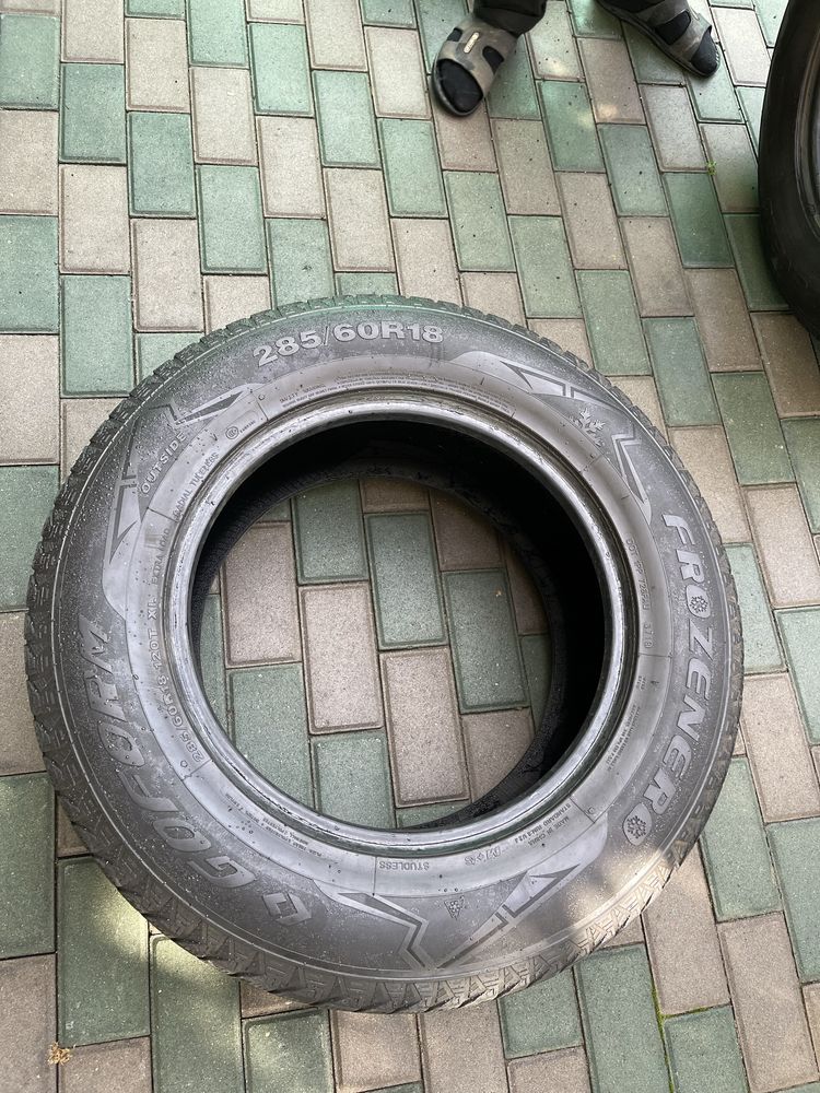 Шины зимние Frozener