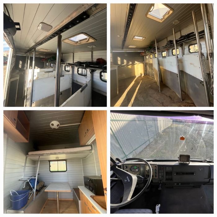 Man M02 Camion transport pentru 6 cai si dormitor 2 locuri