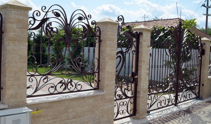 Porti si garduri Iedera din fier forjat