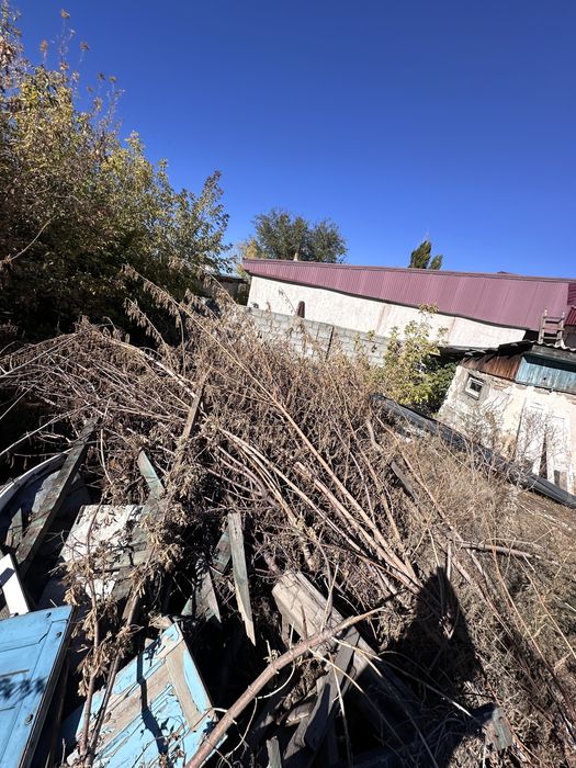 Дрова отдам бесплатно