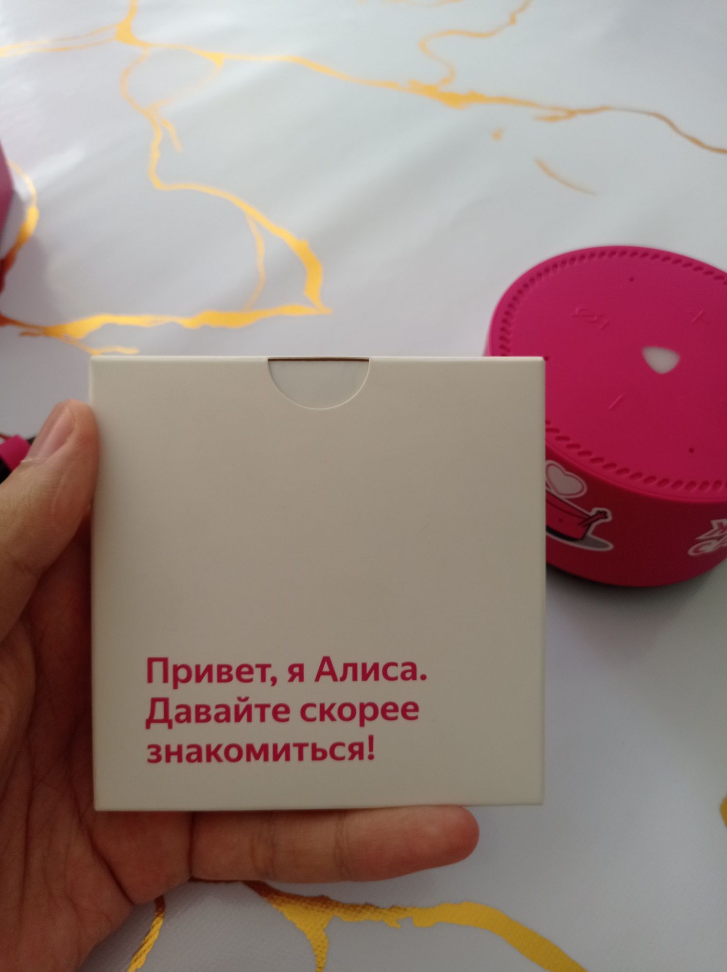 Колонка Алиса сатылады
