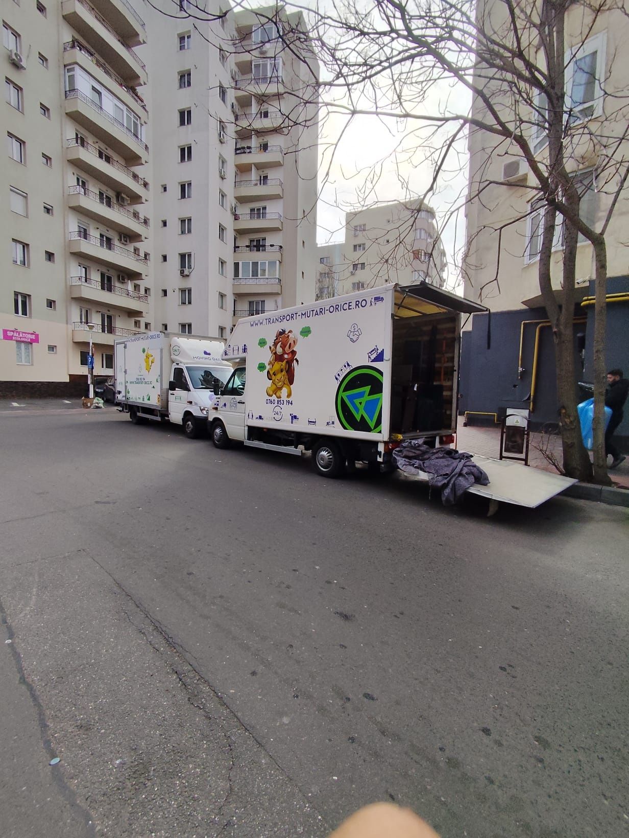 Firma transport mutari mobila bagaje debarasarea servicii ieftine