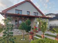 casa de vanzare Lazuri, jud Satu Mare