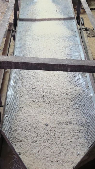 Күріш лазер оптом цена