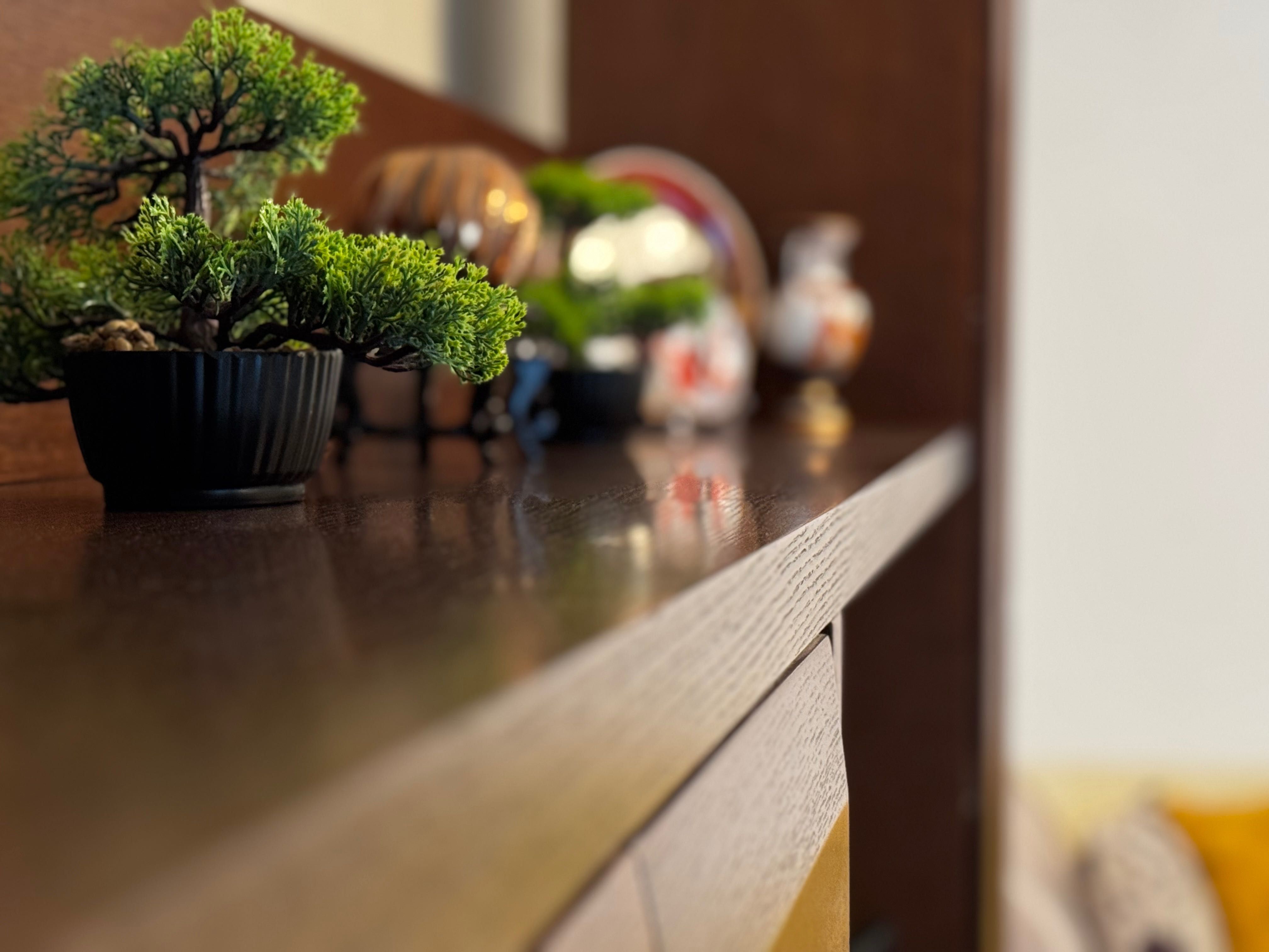 Mobila Elvila din lemn masiv pentru living