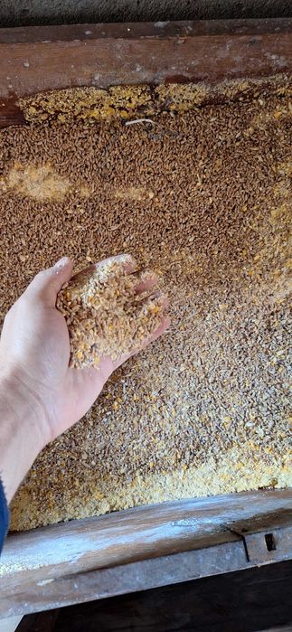 Домашен бройлер наличен