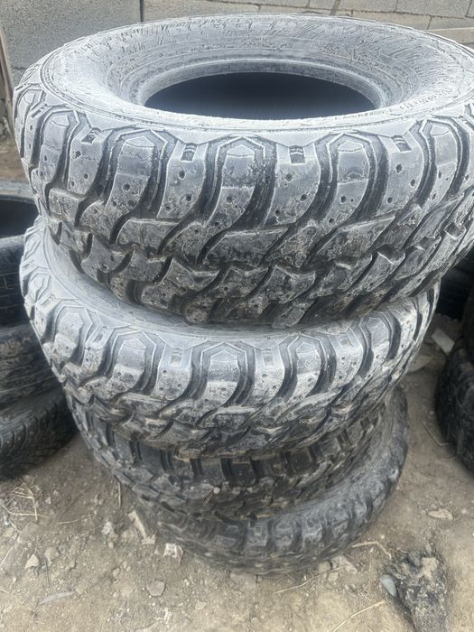 Гризявой ризны …