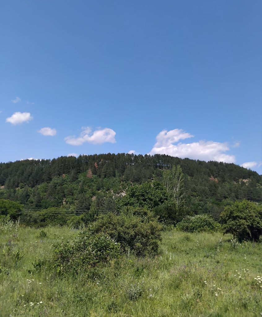 Продава се Парцел в Сапарева баня - 500 кв.м за 65 €/кв.м - Снимка #3