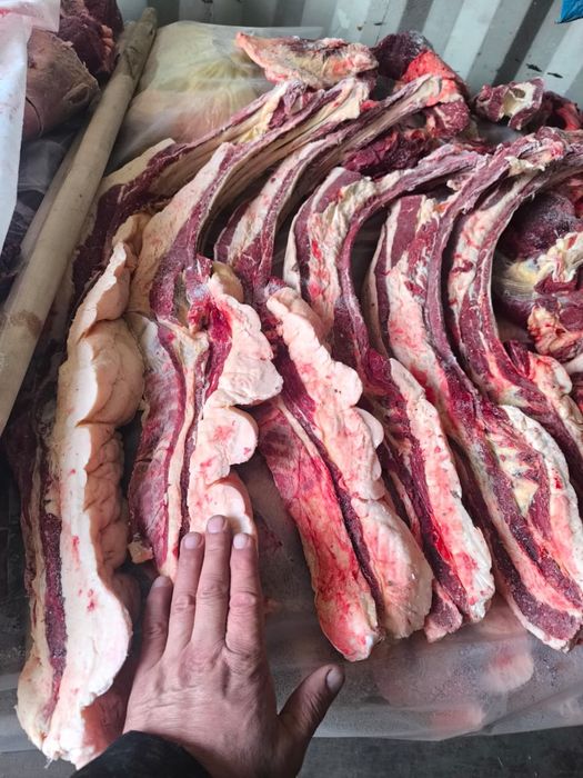 Продам мясо конина, жылқы еті