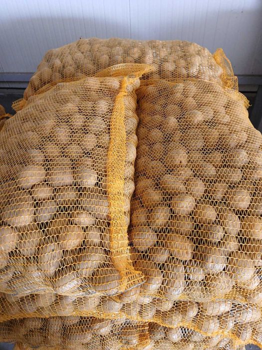 Cartofi de samanta Riviera+Carera