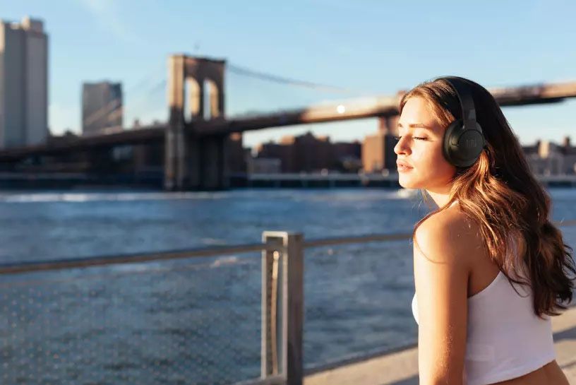 Беспроводные наушники JBL Tune 760NC