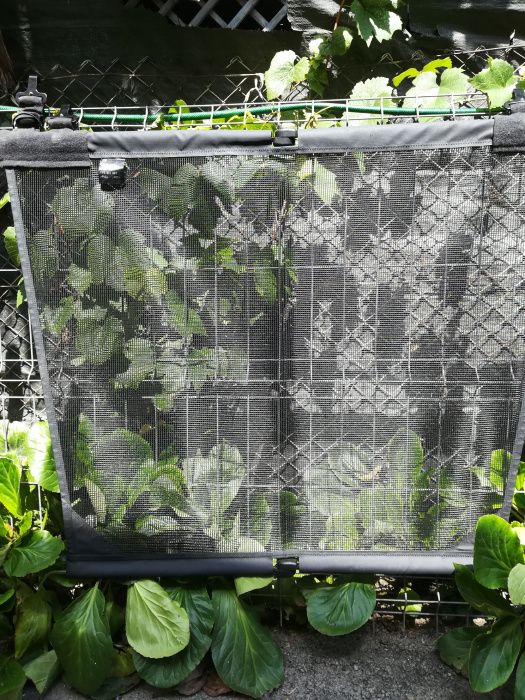 Plasa wv Sharan pentru despărțitor portbagaj