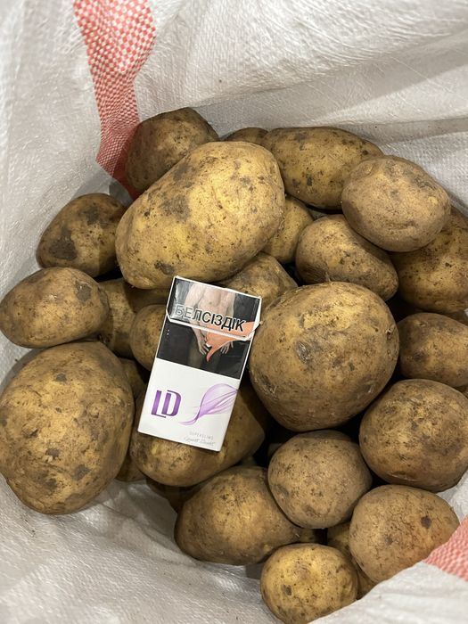 Картошка оптом со склада