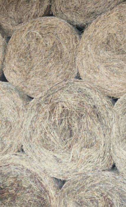 Baloti de fan lucerna