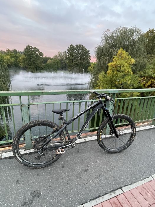 Dartmoor hornet 2023