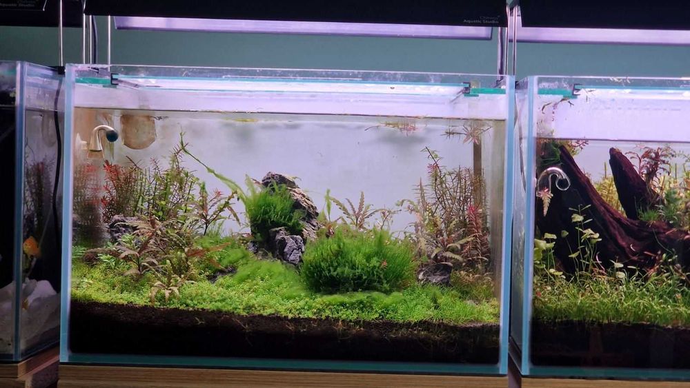 Аквариум Clear Vision - CO₂ система, Oase, Chihiros и шкаф – гаранция