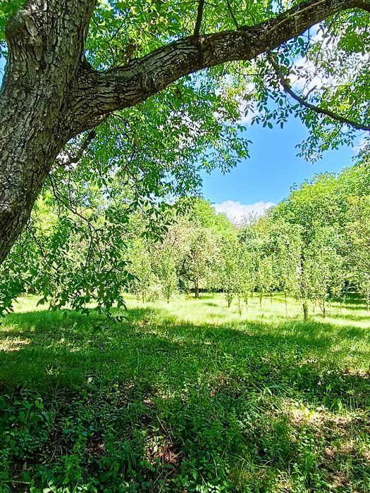 De vânzare casa+teren