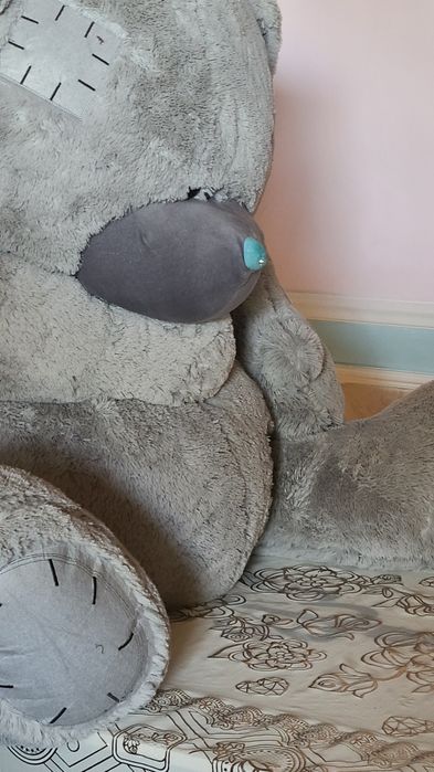 Momiq ayiq holati gòzal