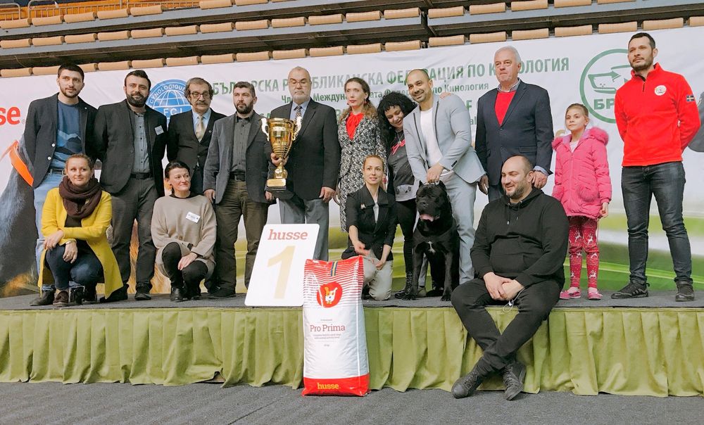Кане Корсо ELITE