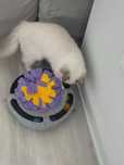 Игра за котки- пъзел - Cat Puzzle Toy