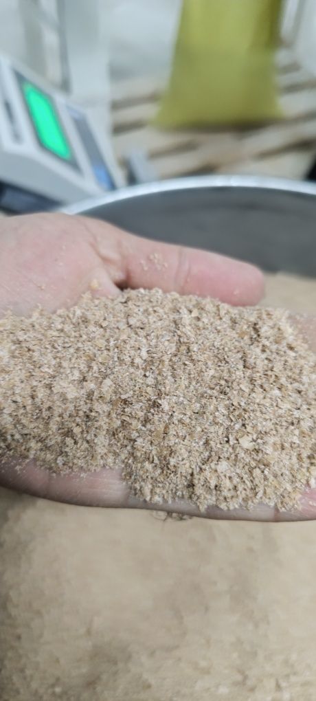 Продается отруби из казахстанской пшеницы