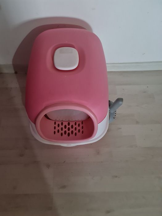 Tureskiy angora. 1 yosh