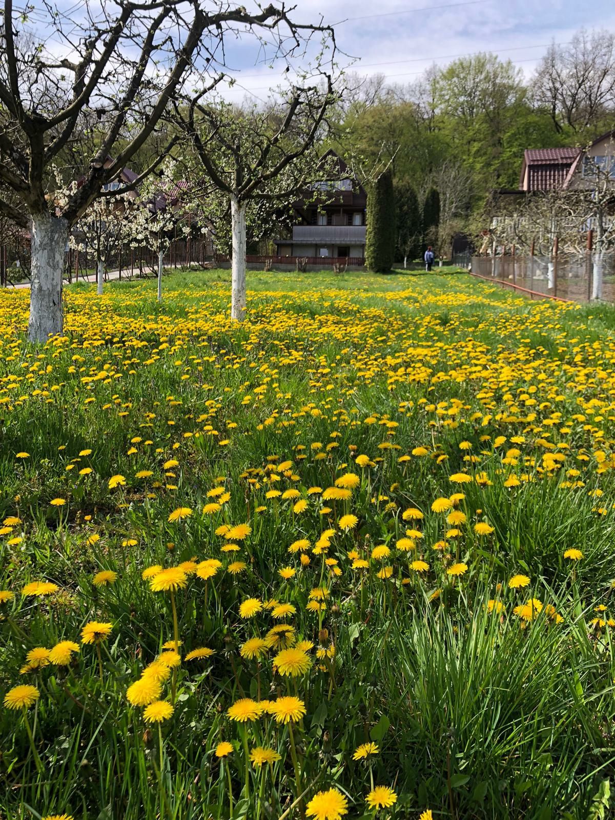 Casă de Odihnă, teren 1000mp zona Corunca
