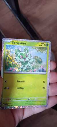 Pokemon card :SPRIGATITO