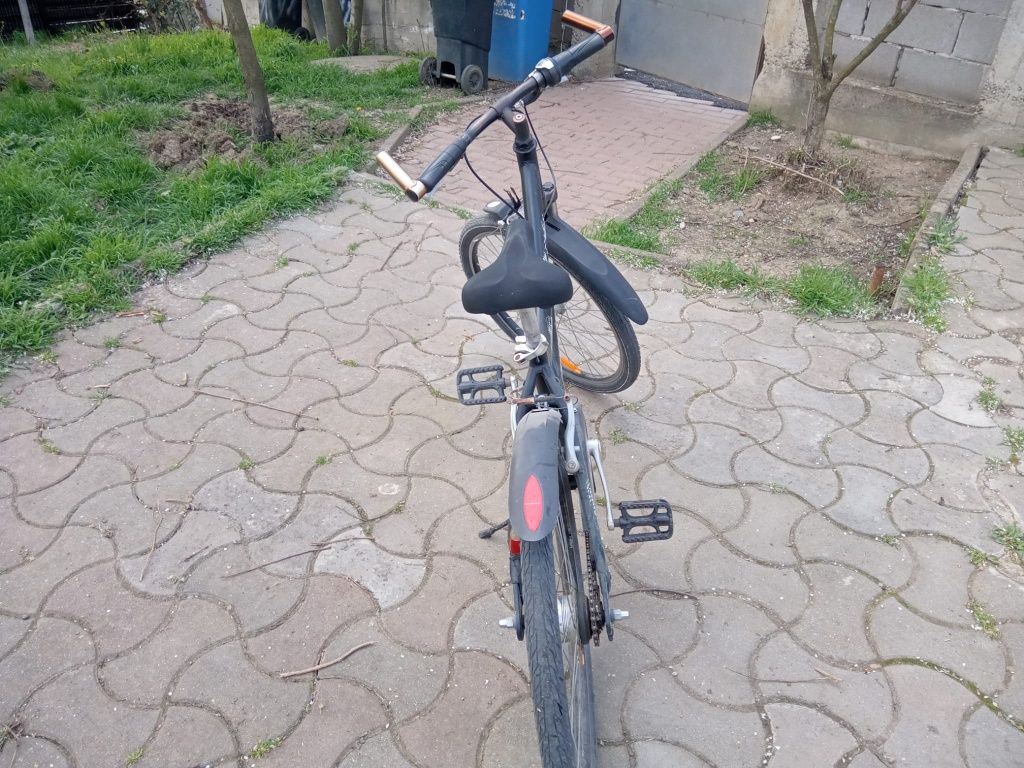 Bicicleta Pegasus